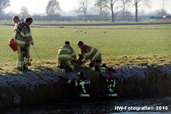 henry-wallinga-ree-hogenbergweg-hasselt-11