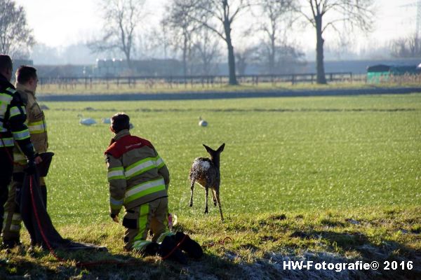 henry-wallinga-ree-hogenbergweg-hasselt-12