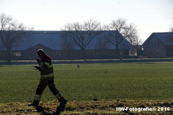 henry-wallinga-ree-hogenbergweg-hasselt-13