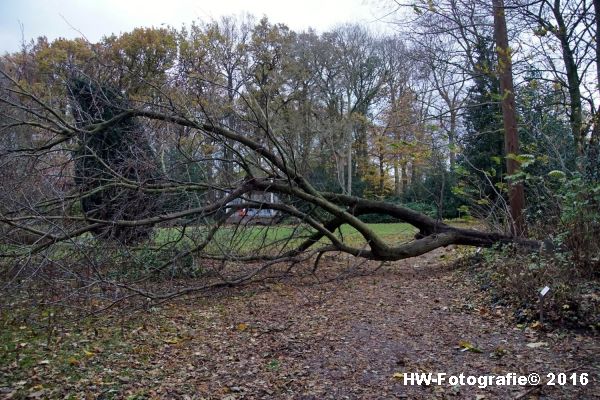 henry-wallinga-stormschade-hasselt-08