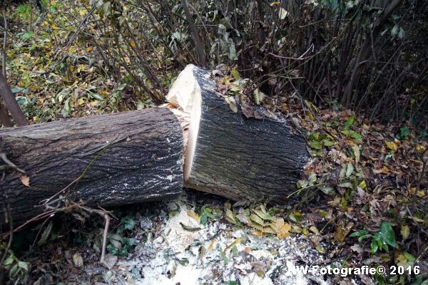 henry-wallinga-stormschade-hasselt-09