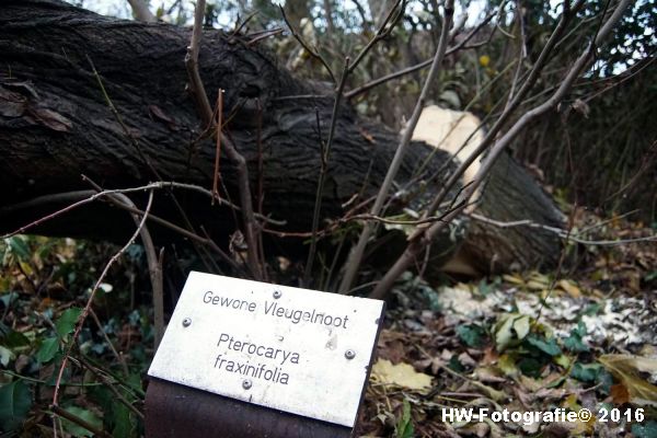 henry-wallinga-stormschade-hasselt-10