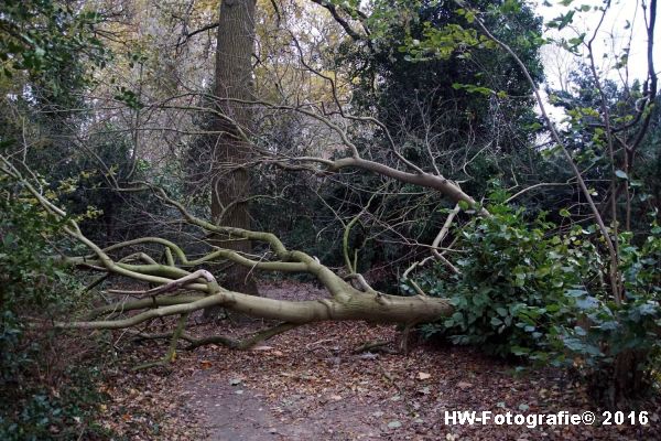 henry-wallinga-stormschade-hasselt-11