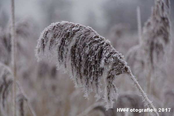 Henry-Wallinga©-Winterse-Plaatjes-2017-11