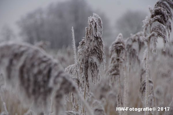 Henry-Wallinga©-Winterse-Plaatjes-2017-12