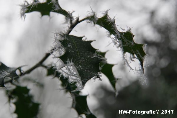 Henry-Wallinga©-Winterse-Plaatjes-2017-14