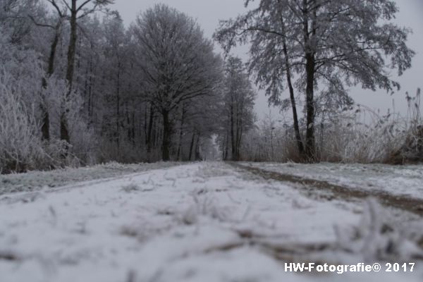 Henry-Wallinga©-Winterse-Plaatjes-2017-16