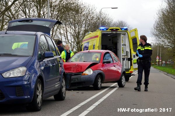 Henry-Wallinga©-Ongeval-Eendjes-Nieuwegweg-Genemuiden-03