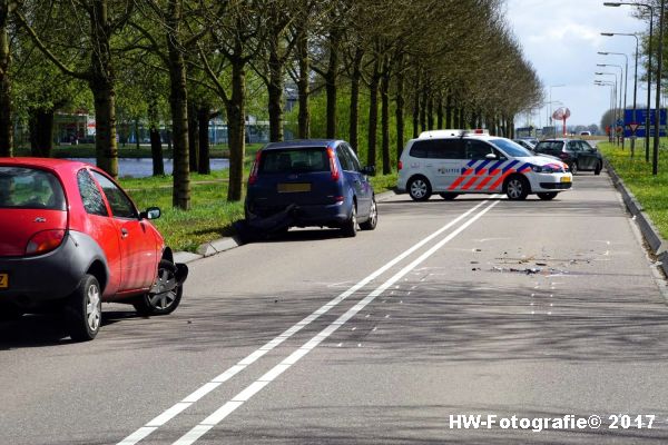 Henry-Wallinga©-Ongeval-Eendjes-Nieuwegweg-Genemuiden-15