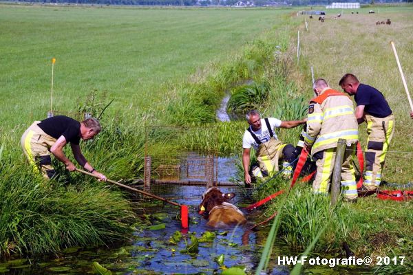 Henry-Wallinga©-Stier-Rechterensweg-Rouveen-04