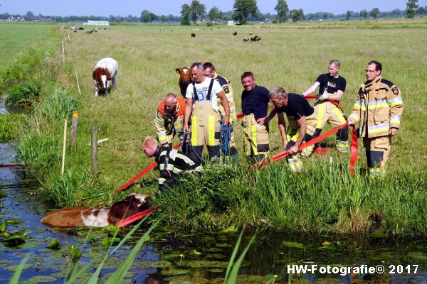 Henry-Wallinga©-Stier-Rechterensweg-Rouveen-07