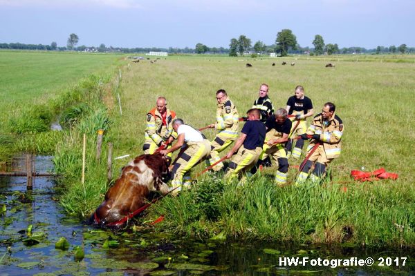 Henry-Wallinga©-Stier-Rechterensweg-Rouveen-11