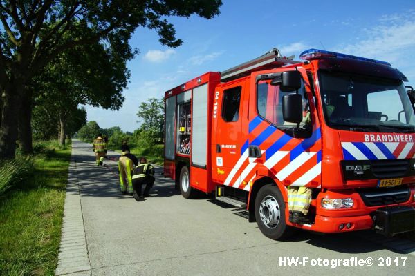 Henry-Wallinga©-Stier-Rechterensweg-Rouveen-14
