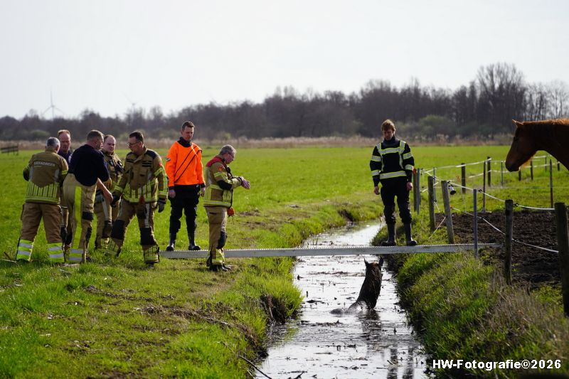 Henry-Wallinga©-Paard-Sloot-Conradsweg-Zwartsluis-01