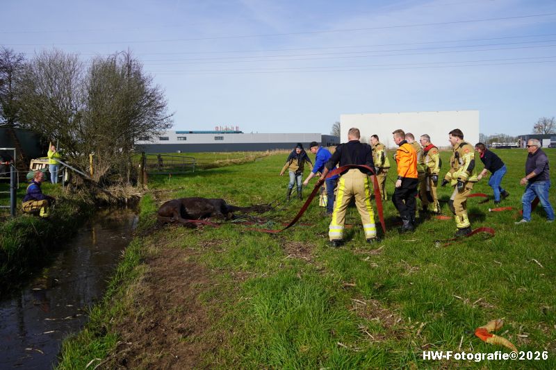 Henry-Wallinga©-Paard-Sloot-Conradsweg-Zwartsluis-15