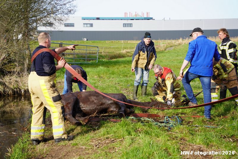 Henry-Wallinga©-Paard-Sloot-Conradsweg-Zwartsluis-16