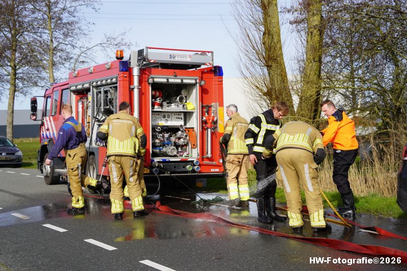 Henry-Wallinga©-Paard-Sloot-Conradsweg-Zwartsluis-20