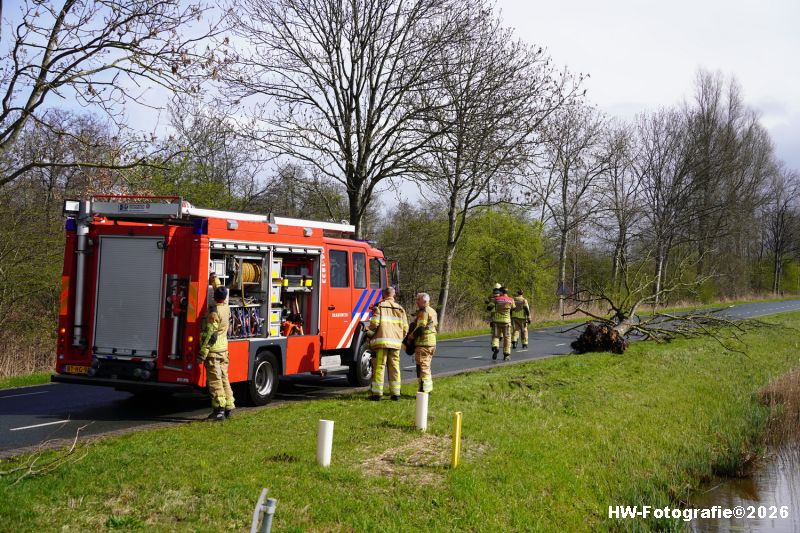 Henry-Wallinga©-Stormschade-Conradsweg-Rouveen-01