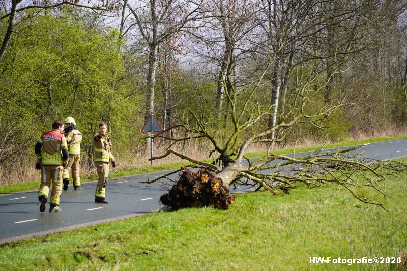 Henry-Wallinga©-Stormschade-Conradsweg-Rouveen-02