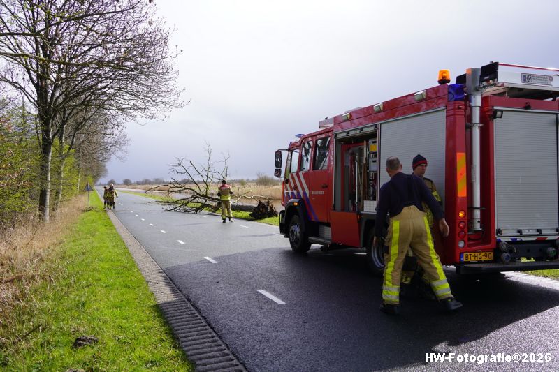 Henry-Wallinga©-Stormschade-Conradsweg-Rouveen-03