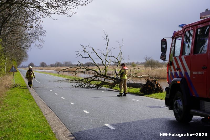 Henry-Wallinga©-Stormschade-Conradsweg-Rouveen-04