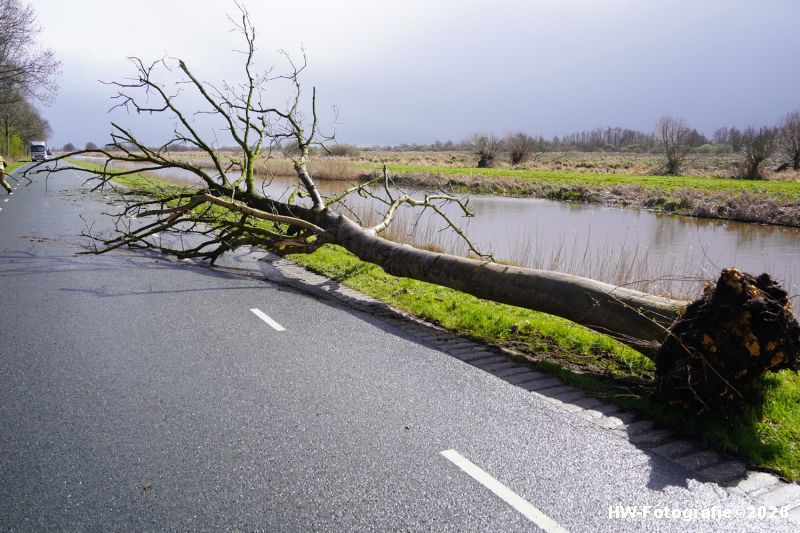 Henry-Wallinga©-Stormschade-Conradsweg-Rouveen-05