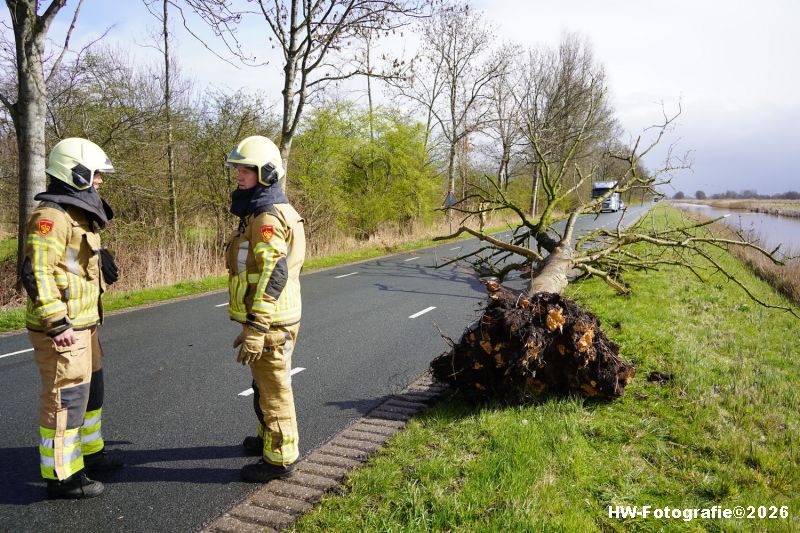 Henry-Wallinga©-Stormschade-Conradsweg-Rouveen-06