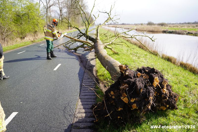 Henry-Wallinga©-Stormschade-Conradsweg-Rouveen-07