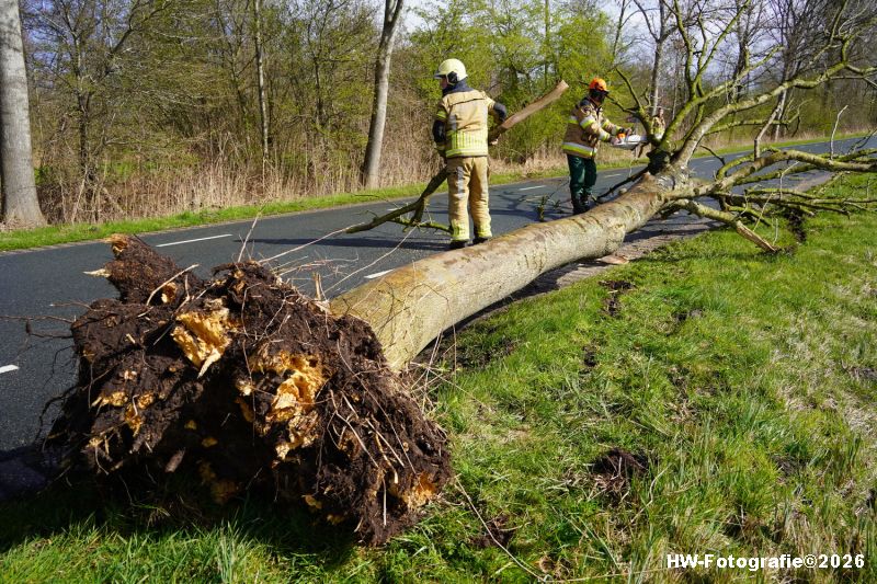 Henry-Wallinga©-Stormschade-Conradsweg-Rouveen-08