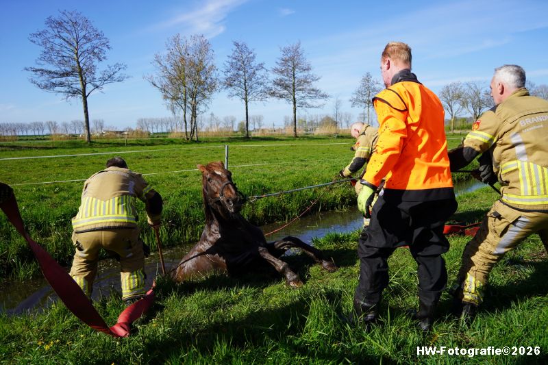 Henry-Wallinga©-Paard-Sloot-Conradsweg-Zwartsluis-2-05