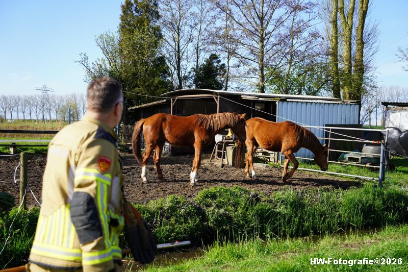Henry-Wallinga©-Paard-Sloot-Conradsweg-Zwartsluis-2-07