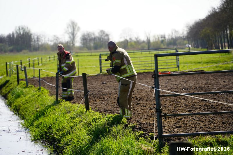 Henry-Wallinga©-Paard-Sloot-Conradsweg-Zwartsluis-2-09