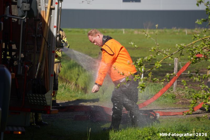 Henry-Wallinga©-Paard-Sloot-Conradsweg-Zwartsluis-2-11