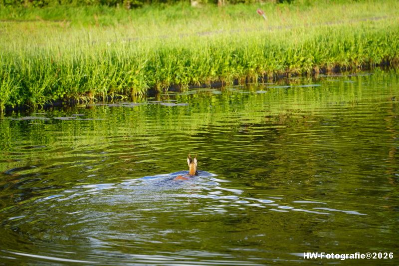 Henry-Wallinga©-Ree-Kanaal-N377-Rouveen-01