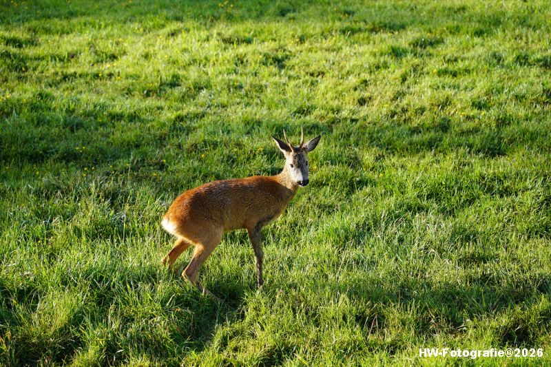 Henry-Wallinga©-Ree-Kanaal-N377-Rouveen-12
