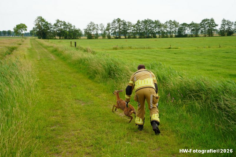 Henry-Wallinga©-Ree-Vaart-N377-Hasselt-13